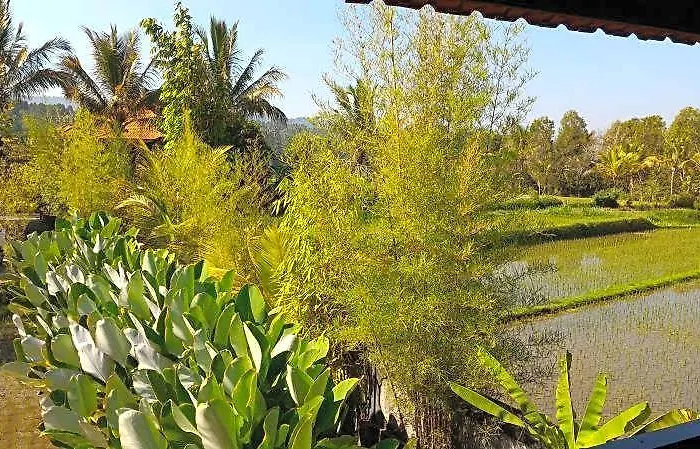 Village de vacances Atres Munduk